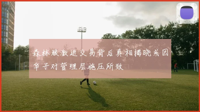 森林狼激进交易背后真相揭晓或因华子对管理层施压所致