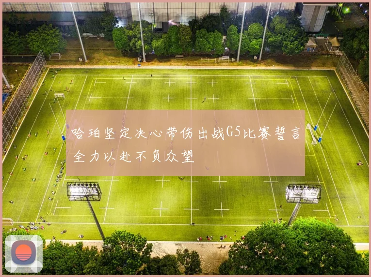 哈珀坚定决心带伤出战G5比赛誓言全力以赴不负众望