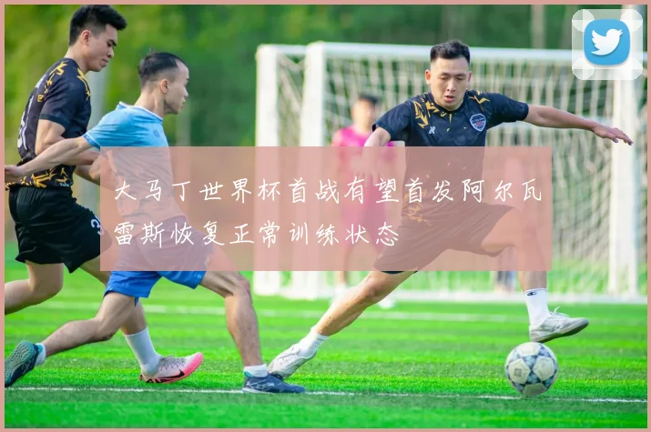 大马丁世界杯首战有望首发阿尔瓦雷斯恢复正常训练状态