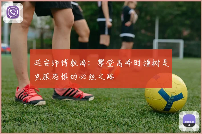 延安师傅教诲：攀登高峰时撞树是克服恐惧的必经之路